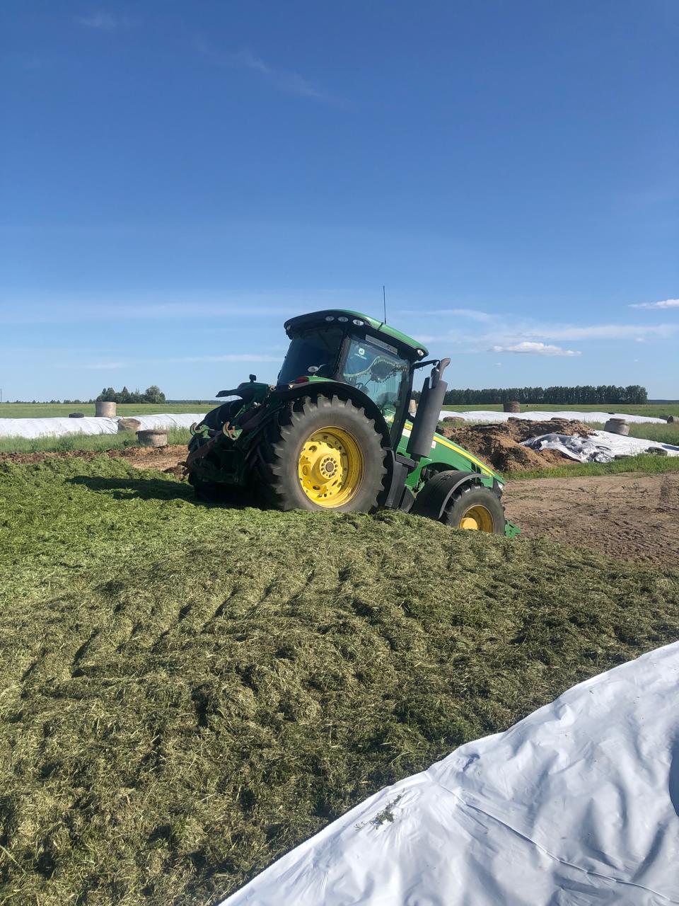 В Навлинском районе продолжается заготовка кормов