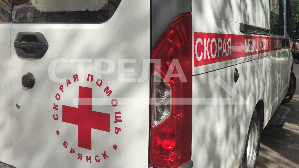 За девять лет брянские медицинские организации получили 645 новых автомобилей
