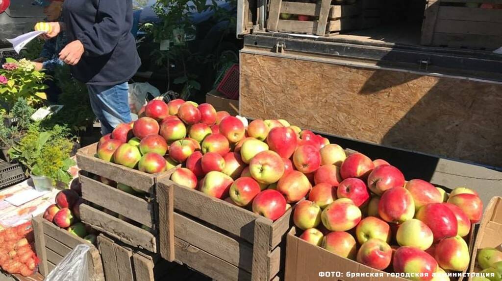 На Брянщине откроются ярмарки выходного дня (0+)