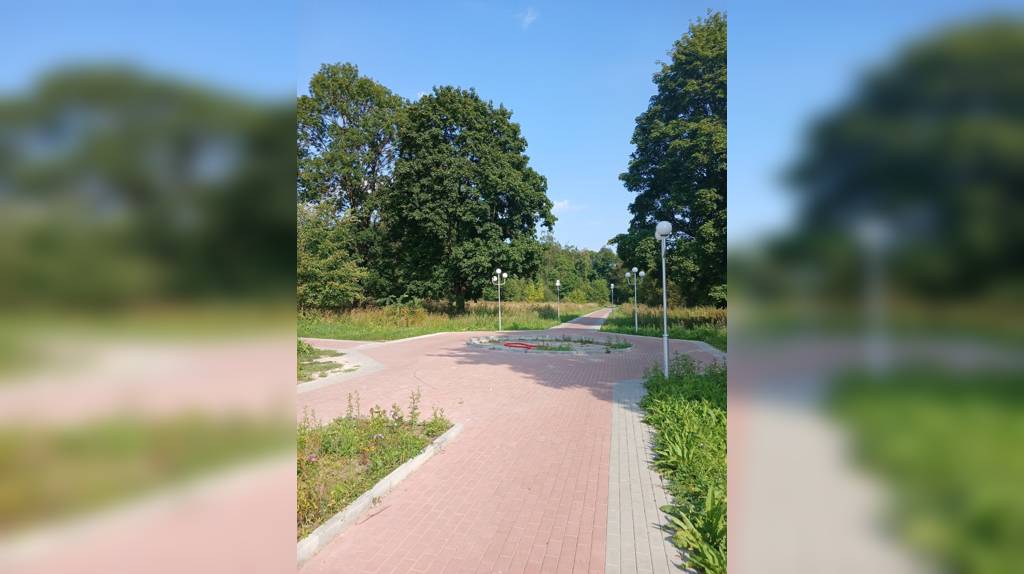 В брянском Дятьково продолжают обновлять городской парк