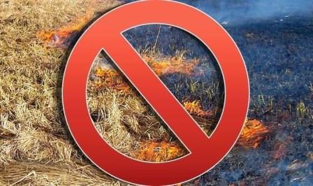 На территории Навлинского района проводится месячник «Сухая трава»