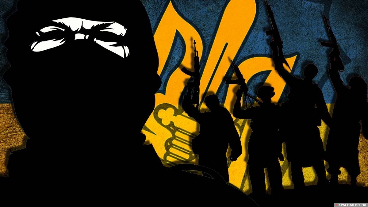 Украина: от экстремистских движений к террористическому государству