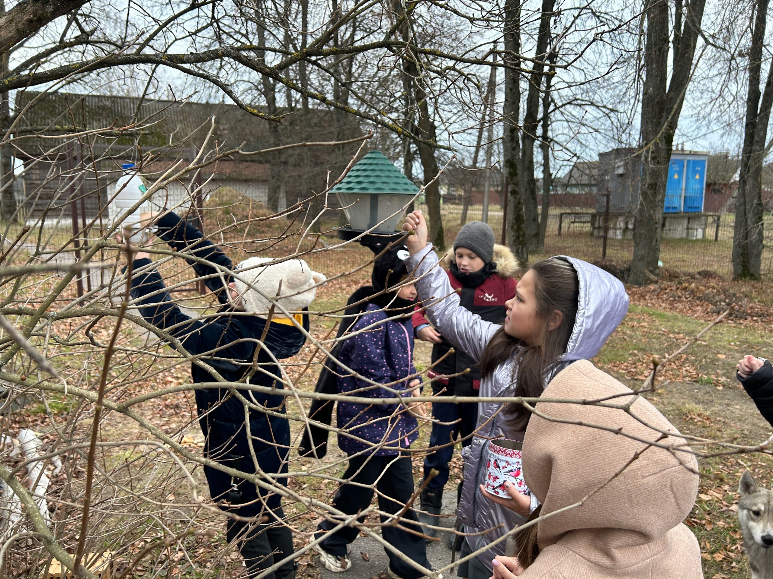 Навлинские школьники провели экологическую акцию #Покормитептицзимой