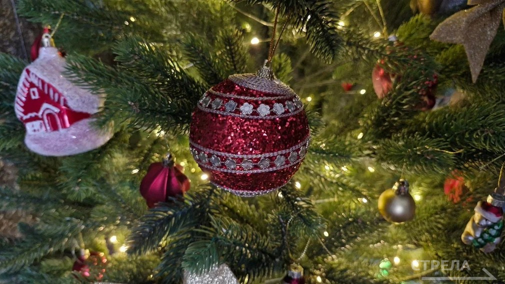 Брянцам рассказали, как стать исполнителем акции «Ёлка желаний»