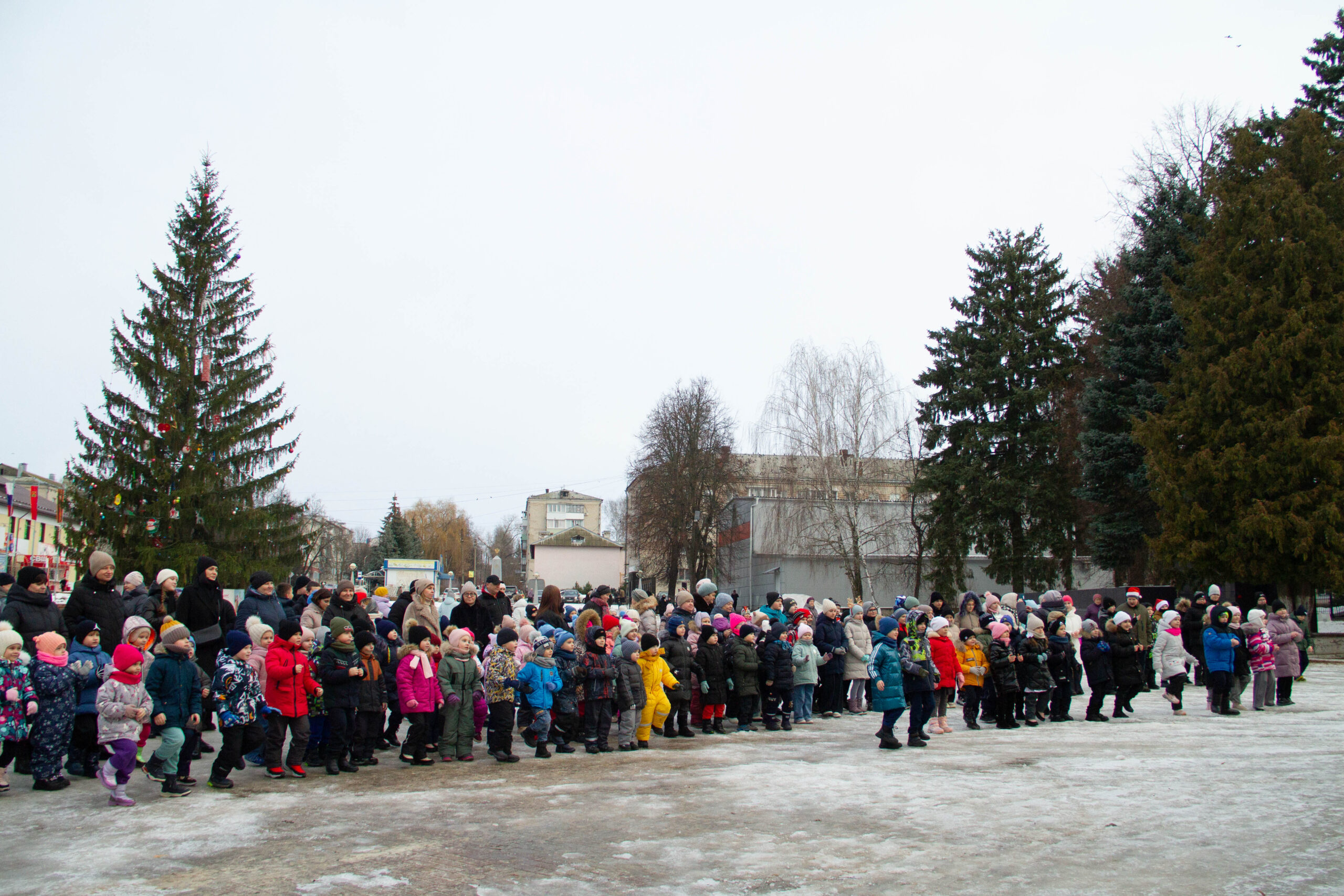 В Навле состоялось торжественное открытие районной ёлки