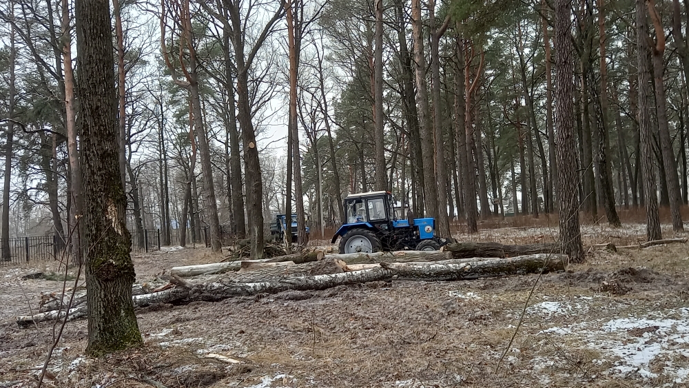 В Навле продолжается наведение порядка в парке культуры и отдыха имени Михаила Князева