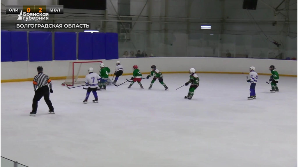 Волгоградский губернатор стал гидом для своих юных стародубских хоккеистов-земляков из Брянщины