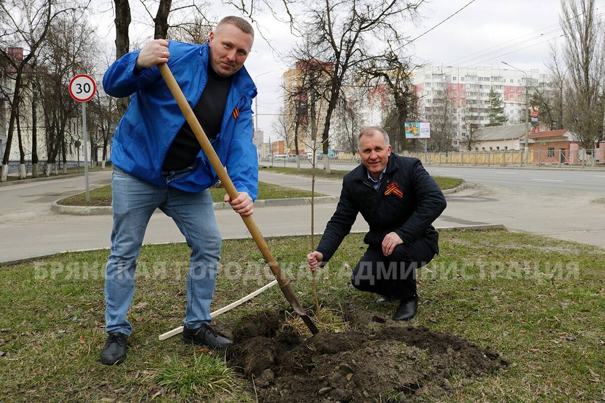 В рамках субботника в Брянске посадили 80 молодых деревьев  