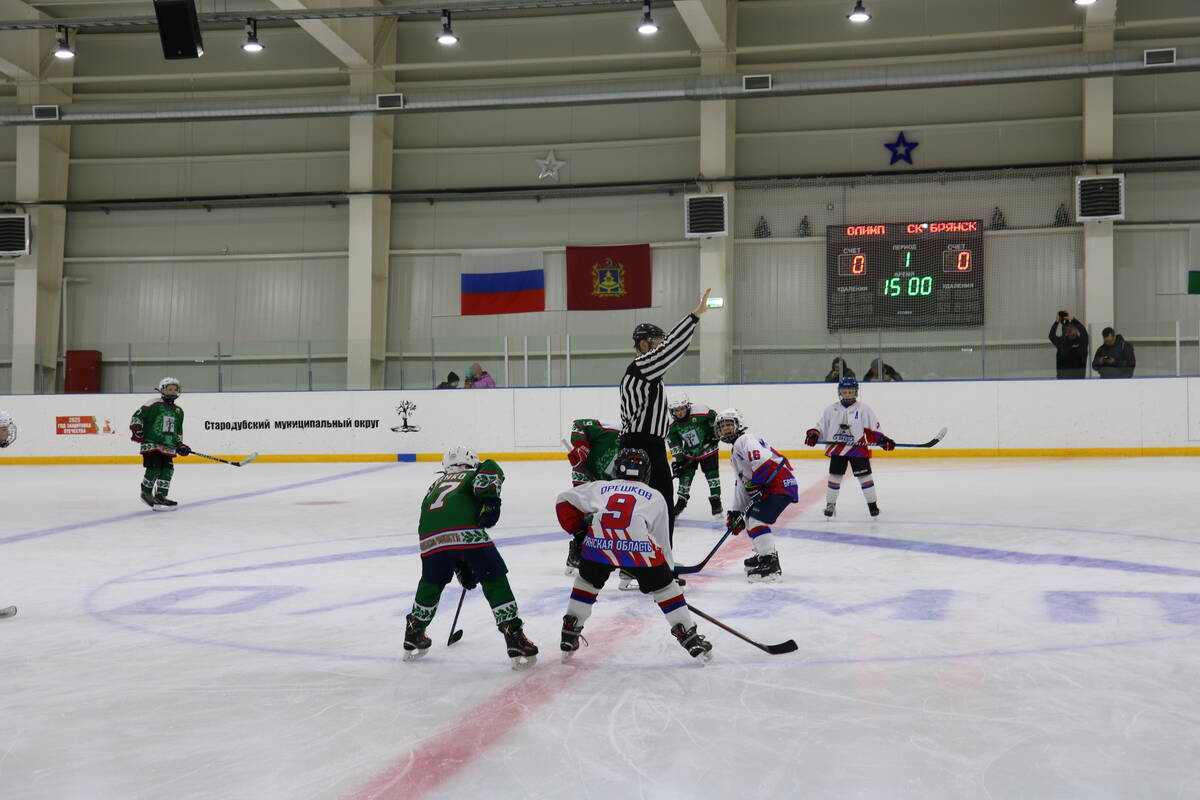 В брянском Стародубе состоялся товарищеский хоккейный матч