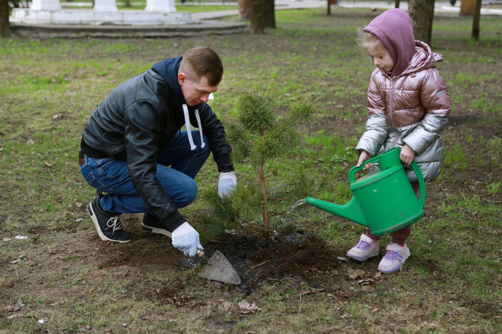 В брянских парках высадили сосны