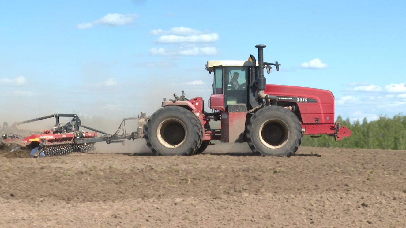 Аграрии Брянского региона завершили посевную