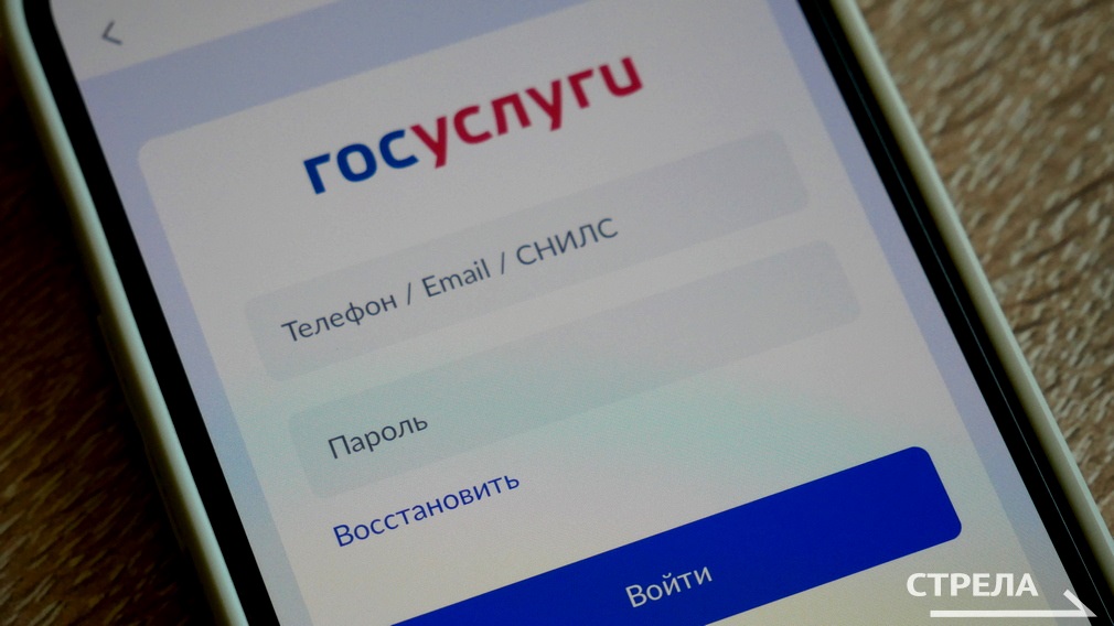 В решении бытовых вопросов брянцам оказывает помощь приложение Госуслуги.Дом