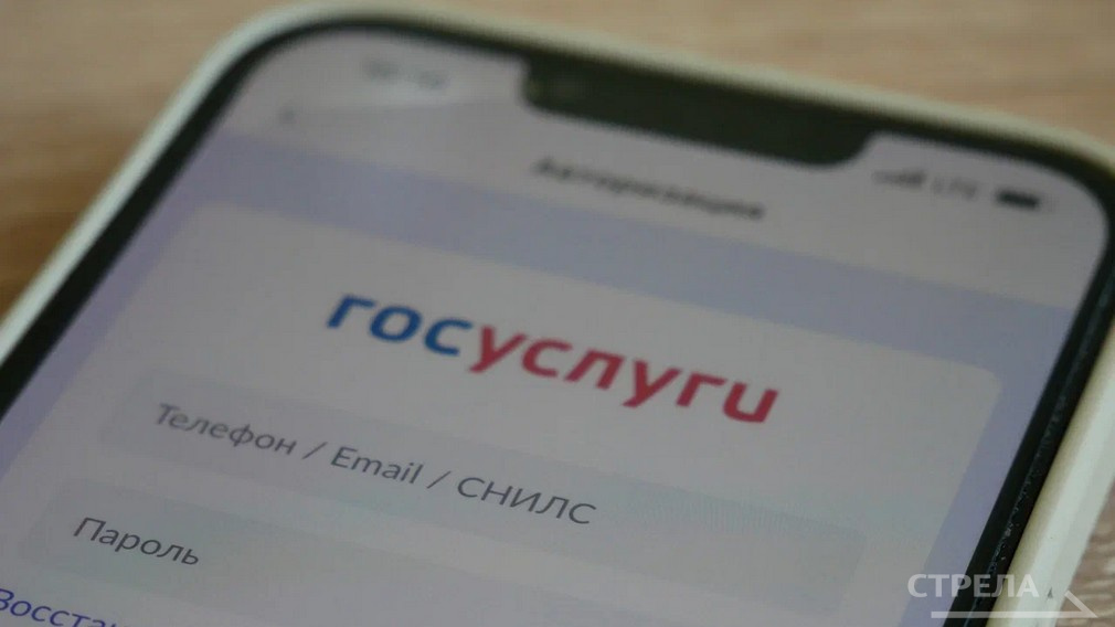 Брянцам с помощью приложения «Госуслуги.Дом» стало легче решать бытовые проблемы