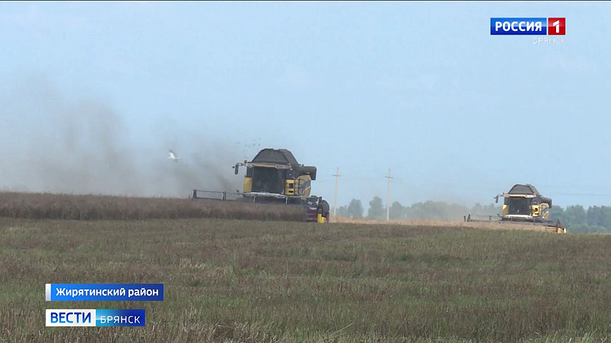 Брянский регион занимает первое место в России по урожайности рапса