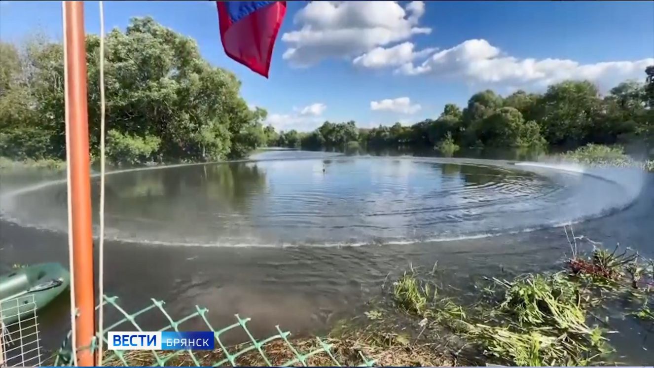 В Брянском регионе состоялись соревнования по судомодельному спорту
