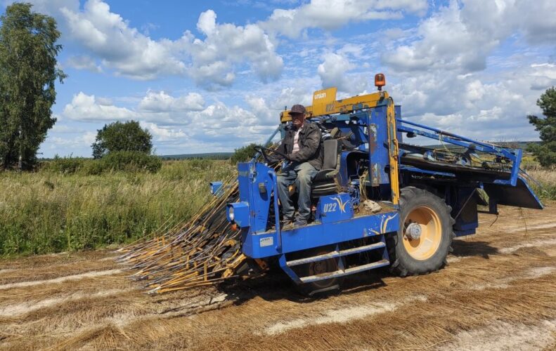 Навлинские аграрии активно включились в уборочную кампанию