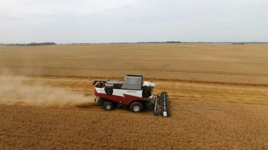 Уборка зерновых культур в Брянской области ведется активными темпами