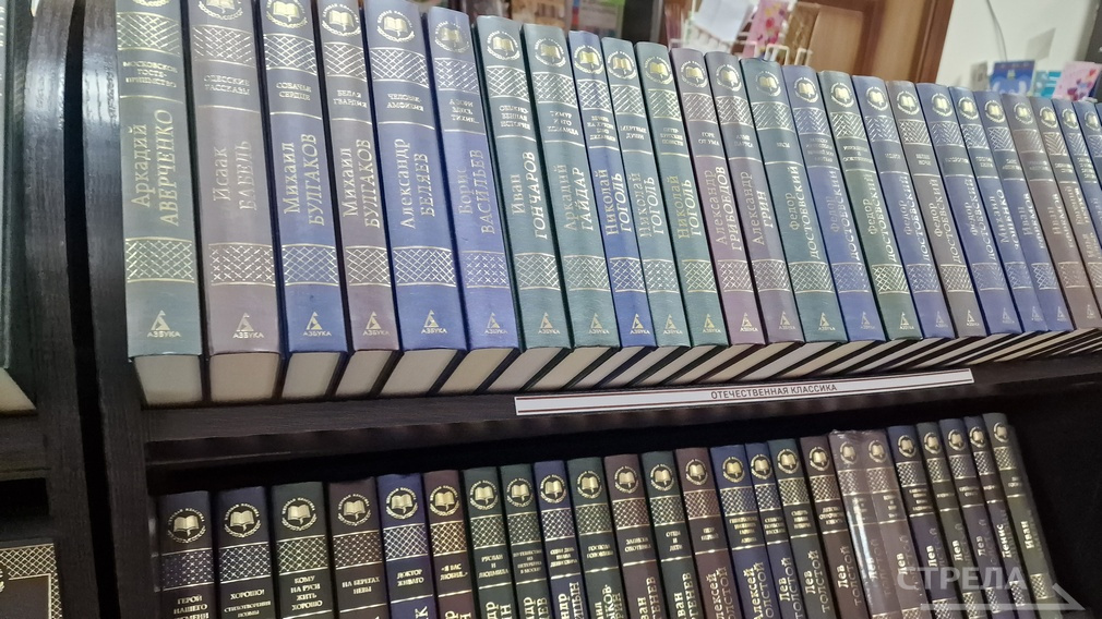 Две брянские общедоступные библиотеки в следующем году станут модельными