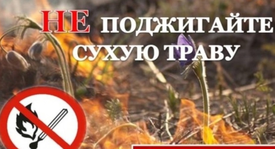Отделение надзорной деятельности и профилактической работы по Навлинскому району ГУ МЧС России по Брянской области информирует об итогах проведения месячника «Сухая трава»