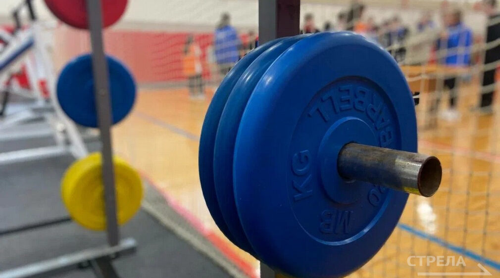 На Брянщине начался прием заявлений для участия в программе «Земский тренер»