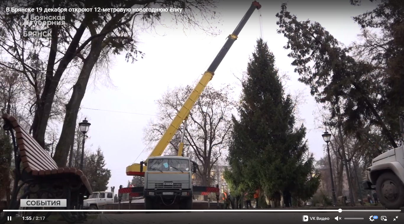 В Брянске главную новогоднюю ёлку города откроют 19 декабря