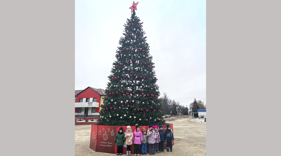 В Навле состоялось открытие новогодней ёлки