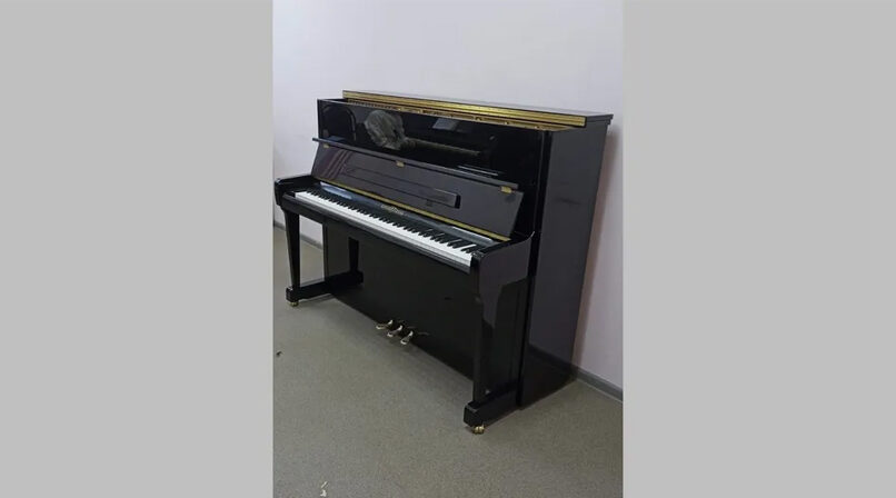 ДШИ в брянских Клинцах имени Беляева получила новые музыкальные инструменты