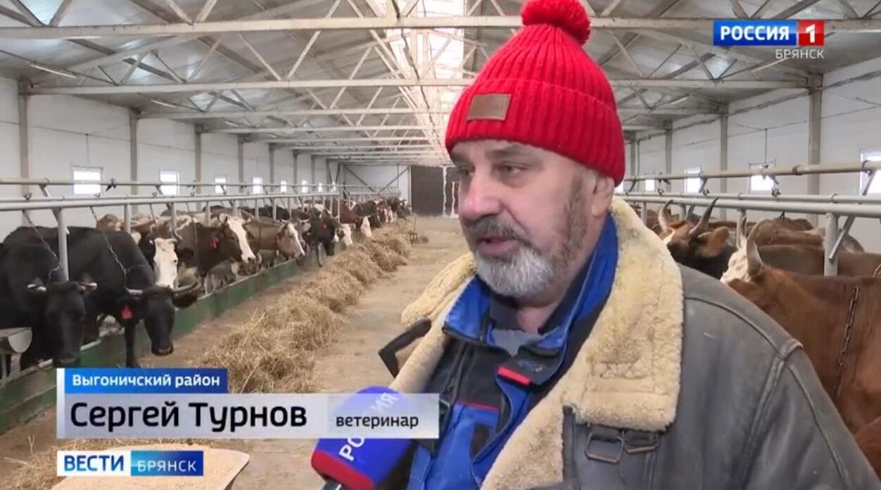 На Брянщине своевременно реализованы мероприятия по обеспечению комфортных условий для животных