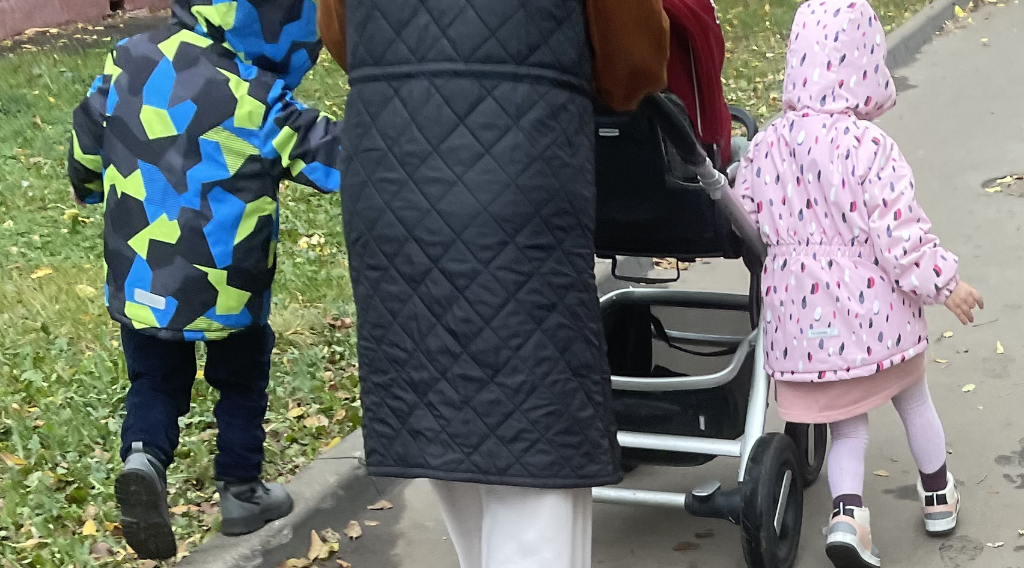 О дополнительных налоговых льготах на имущество рассказали многодетным брянским семьям