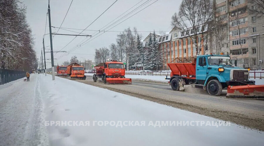 С улиц Брянска вывезено свыше 4200 тонн снега