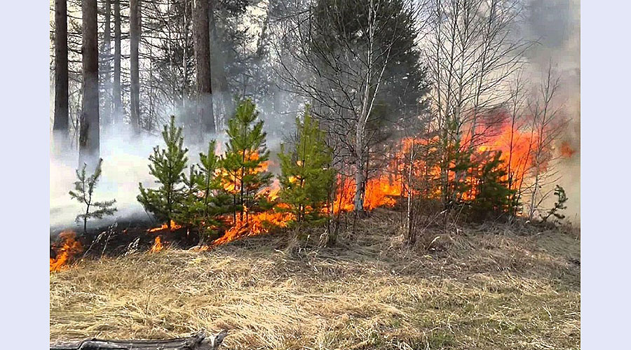 Жителям Навлинского района напомнили о правилах поведения в пожароопасный период