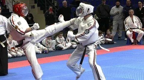 Брянские спортсмены триумфально выступили на чемпионате мира по Косики каратэ