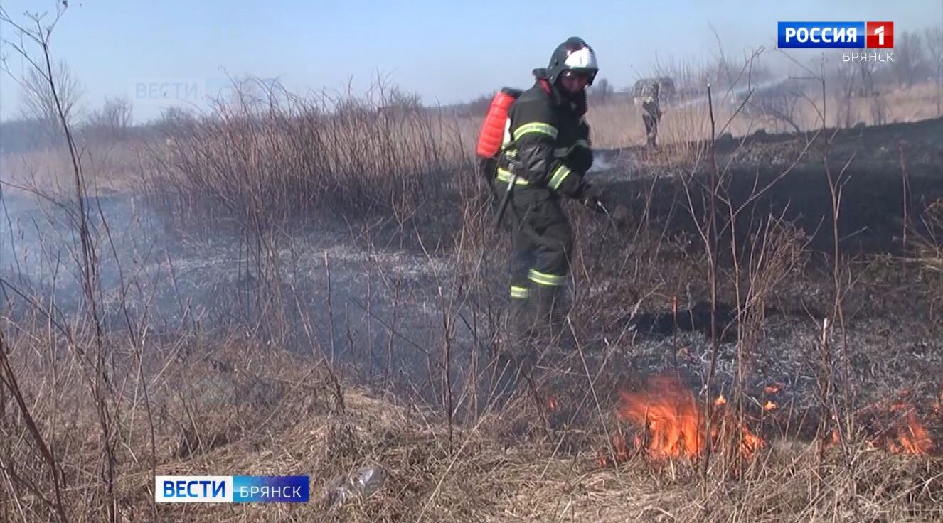 На Брянщине начал действовать официально объявленный пожароопасный период