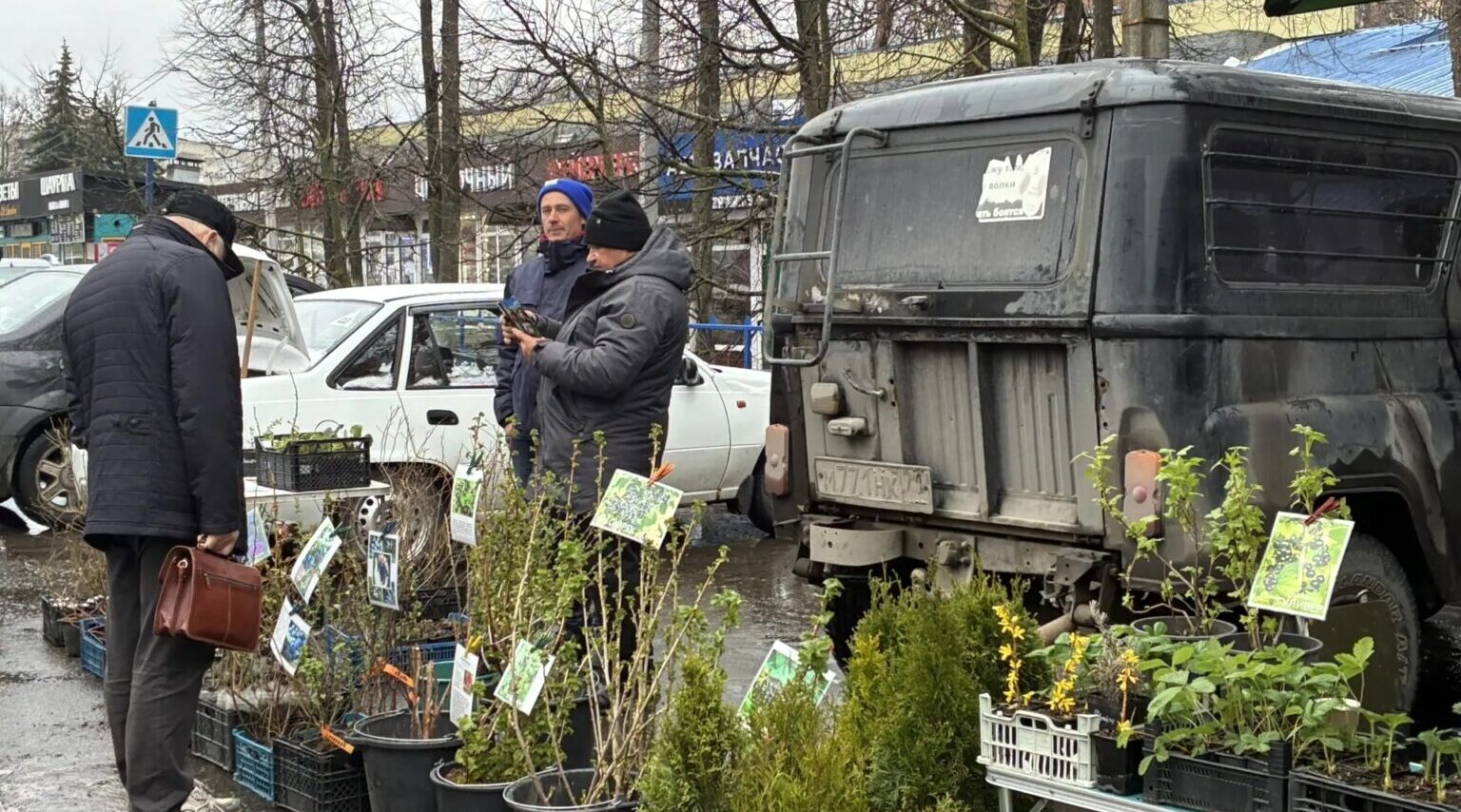 Ярмарки выходного дня в Брянске популярны у покупателей