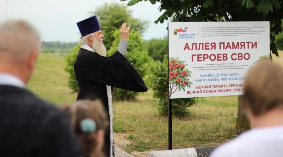Брянский филиал фонда «Защитники Отечества» инициировал создание Рябиновой аллеи