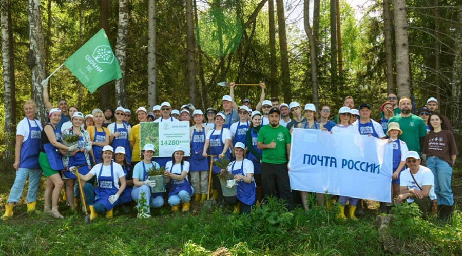 «Почтовый лес» появился ещё в шести регионах