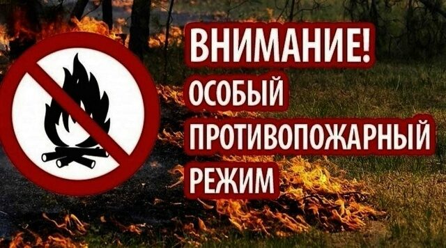 В лесах Брянской области введен особый противопожарный режим