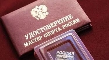 Брянским спортсменам присвоено высокое звание