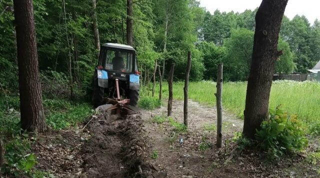 В Брянской области провели устройство новых минерализованных полос на 153,97 км