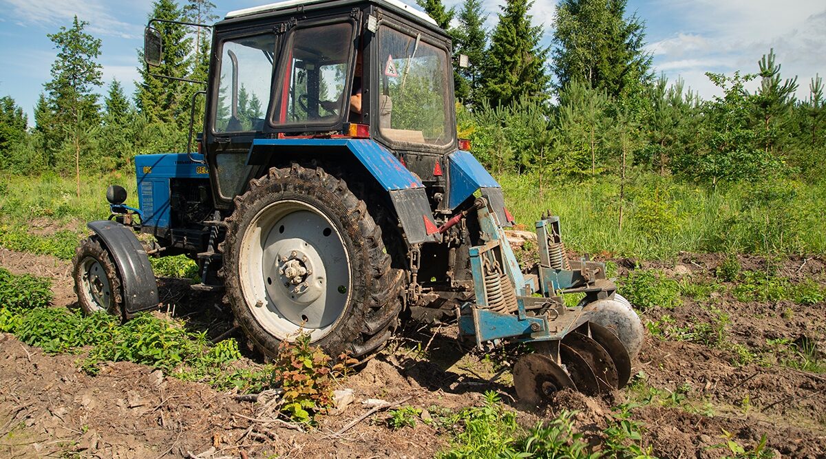 В Навлинском районе ведутся мероприятия по уходу за лесными культурами