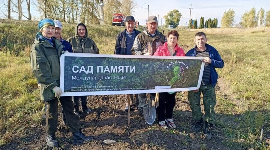 В брянском Севске посадили 80 лип